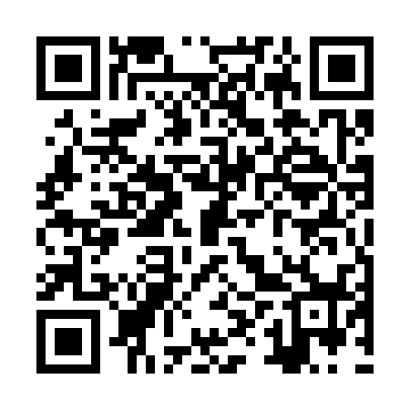 QR code for ZXU338