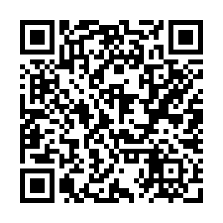 QR code for ZXW391