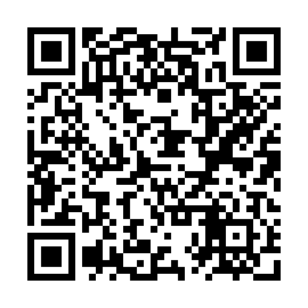 QR code for ZXX302
