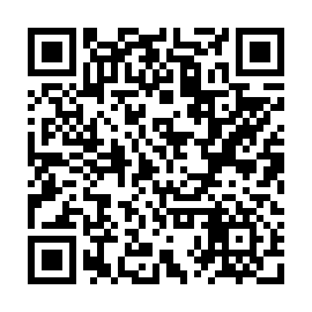 QR code for ZXX617