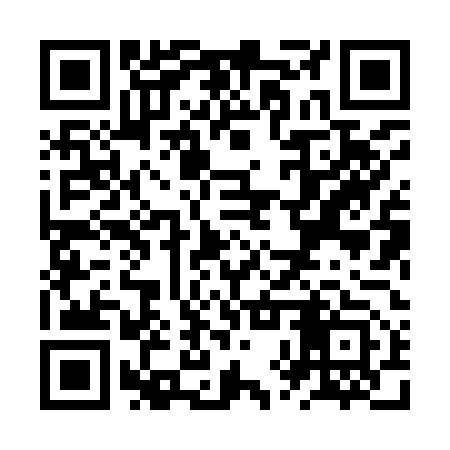 QR code for ZXX953