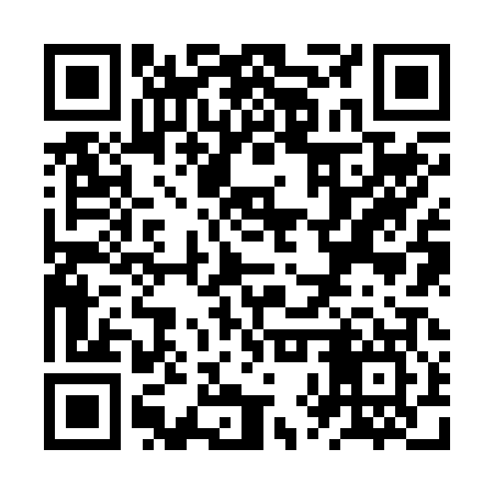 QR code for ZXZ207