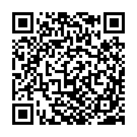 QR code for ZYB267