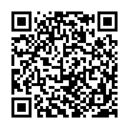 QR code for ZYB336