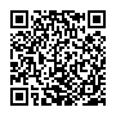 QR code for ZYG597