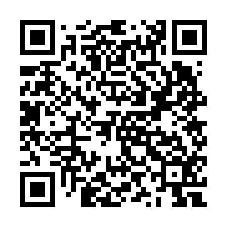 QR code for ZYG616