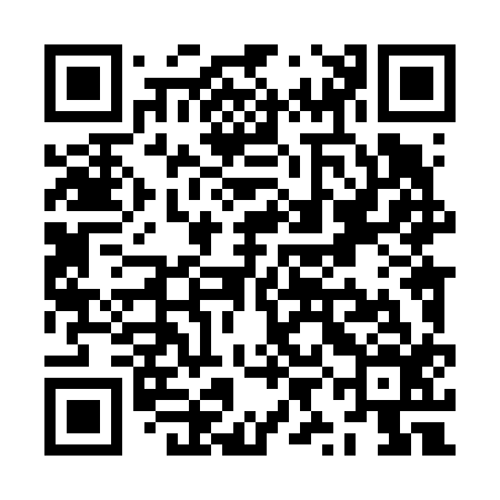 QR code for ZYL616