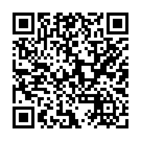 QR code for ZYL995