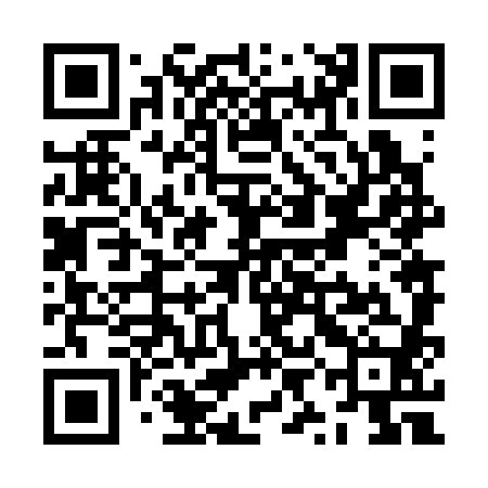 QR code for ZYN380