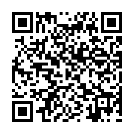QR code for ZYN728