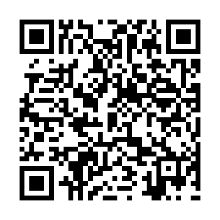 QR code for ZYO380