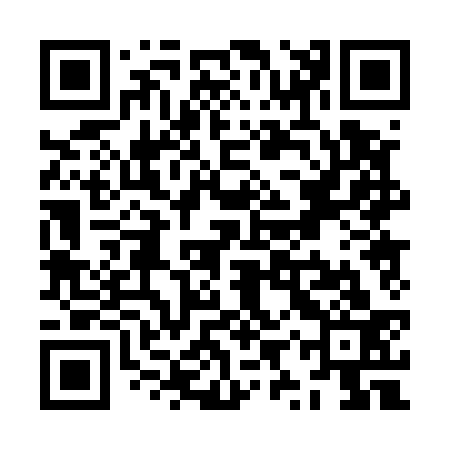 QR code for ZYP533