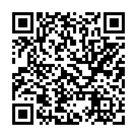 QR code for ZYP611