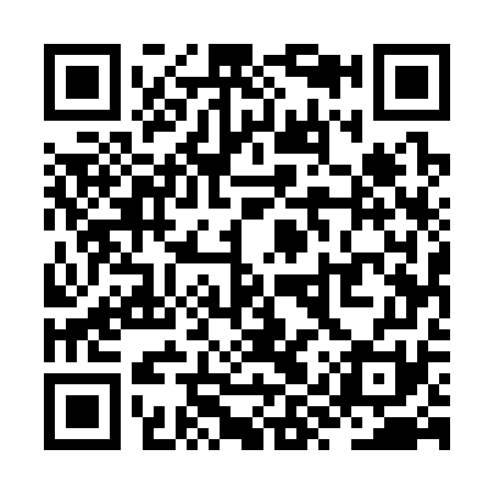 QR code for ZYU371