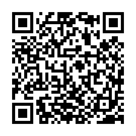 QR code for ZYX413