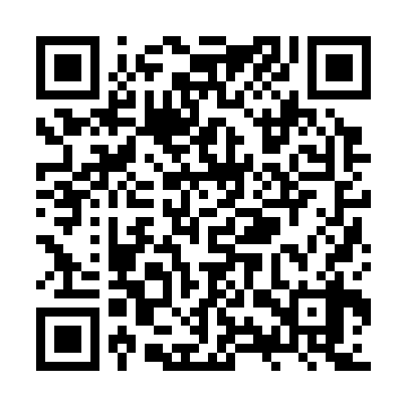 QR code for ZYZ338