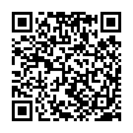 QR code for ZZB613
