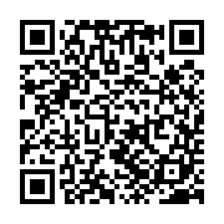 QR code for ZZC541