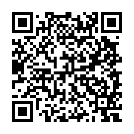 QR code for ZZD095