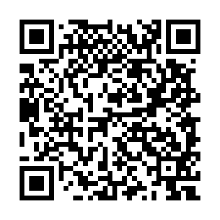 QR code for ZZD593