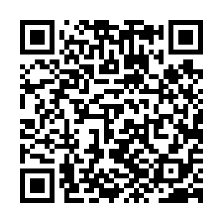 QR code for ZZD618