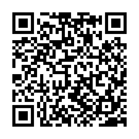 QR code for ZZF234