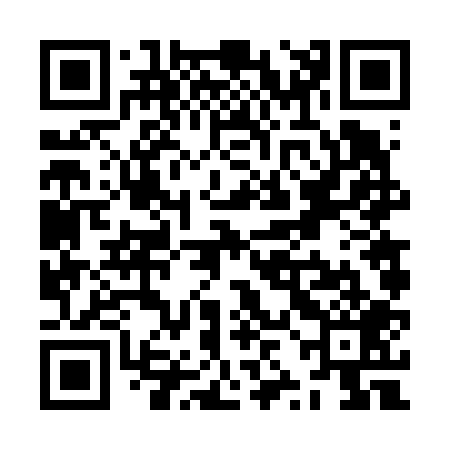 QR code for ZZF609