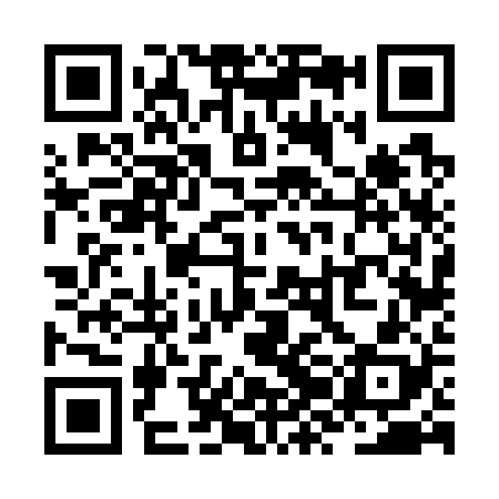 QR code for ZZF728