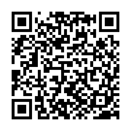 QR code for ZZG341