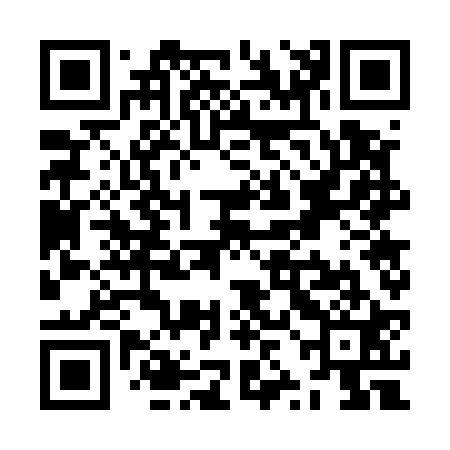 QR code for ZZG521