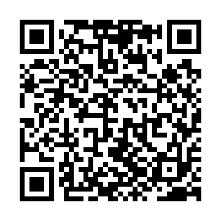 QR code for ZZG713