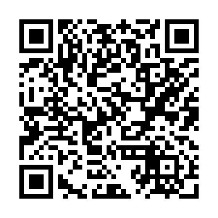 QR code for ZZJ911