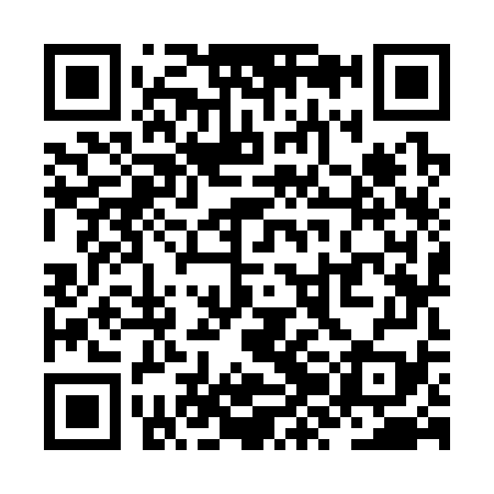 QR code for ZZK379