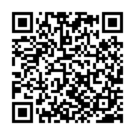 QR code for ZZL203
