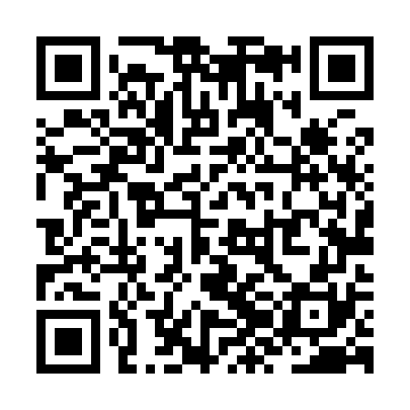 QR code for ZZL970