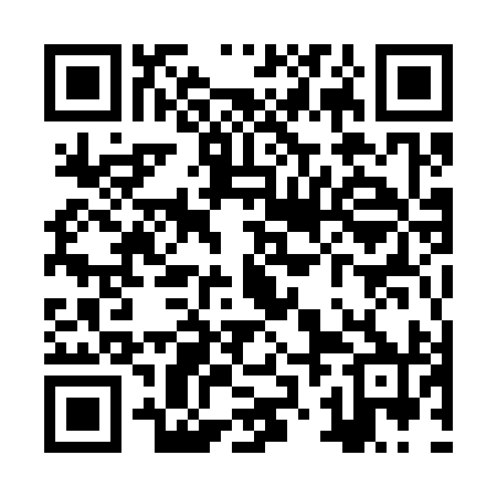 QR code for ZZM390