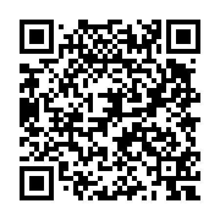 QR code for ZZM411