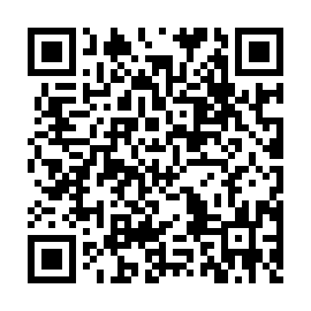 QR code for ZZN993