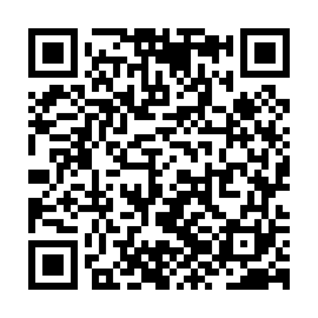 QR code for ZZO061