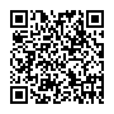 QR code for ZZO211