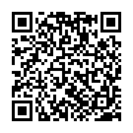 QR code for ZZO392