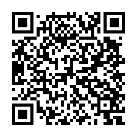 QR code for ZZO446