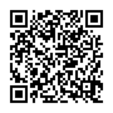 QR code for ZZP534