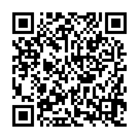 QR code for ZZP994