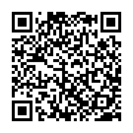 QR code for ZZT389