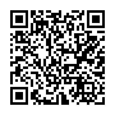 QR code for ZZT491
