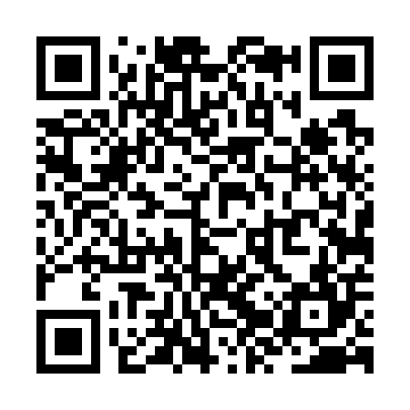 QR code for ZZT704