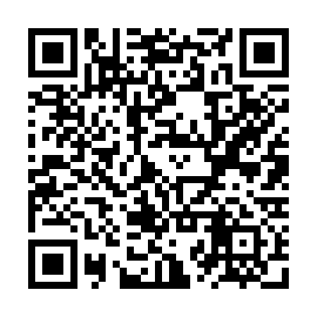 QR code for ZZV331