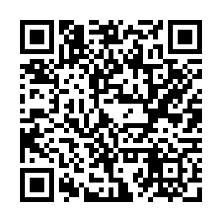 QR code for ZZV369