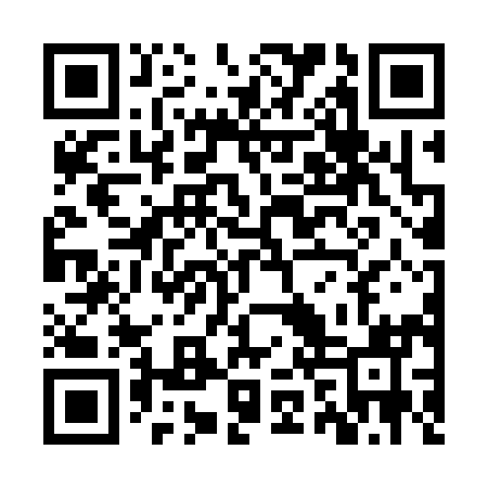QR code for ZZV391